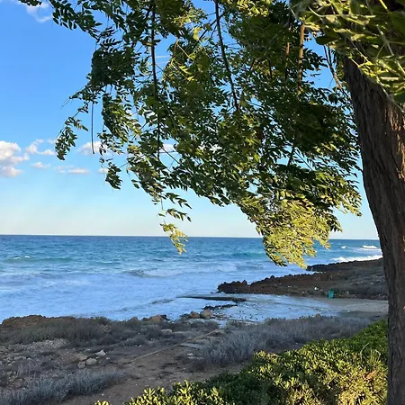 Sunny Coast * Paralimni