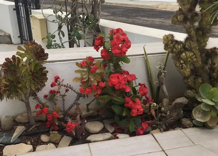 Sunny Coast Paralimni