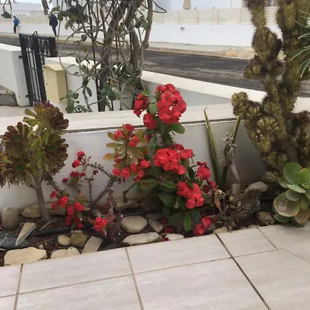 Sunny Coast Paralimni