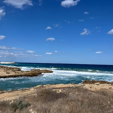 Sunny Coast *