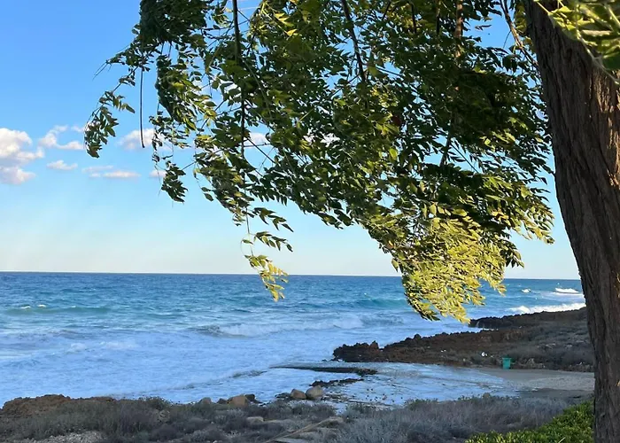 Sunny Coast * Paralimni